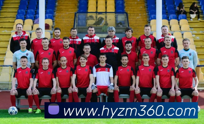 开云kaiyun网站平台生态图